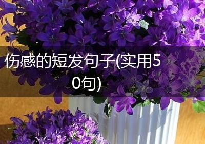 伤感的短发句子(实用50句)