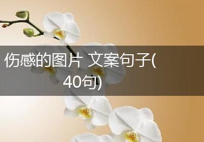 伤感的图片 文案句子(40句)