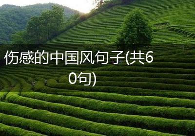 伤感的中国风句子(共60句)