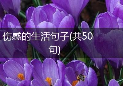 伤感的生活句子(共50句)