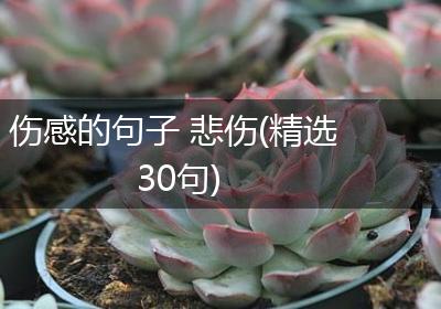 伤感的句子 悲伤(精选30句)