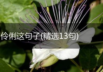 伶俐这句子(精选13句)