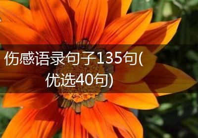 伤感语录句子135句(优选40句)