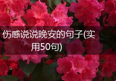 伤感说说晚安的句子(实用50句)
