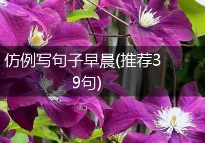 仿例写句子早晨(推荐39句)