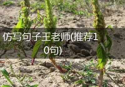 仿写句子王老师(推荐10句)