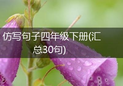 仿写句子四年级下册(汇总30句)