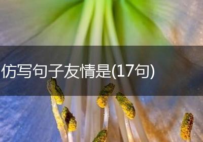 仿写句子友情是(17句)