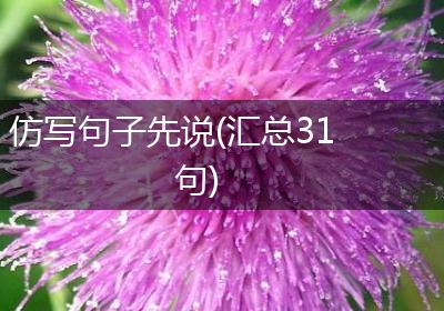 仿写句子先说(汇总31句)