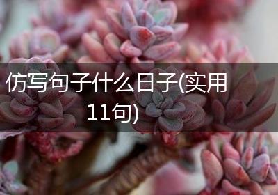 仿写句子什么日子(实用11句)