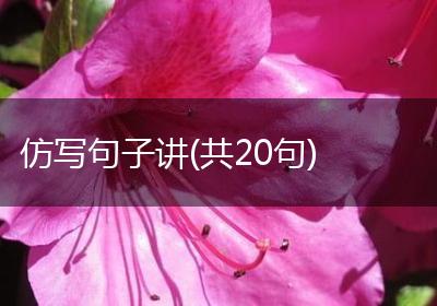 仿写句子讲(共20句)