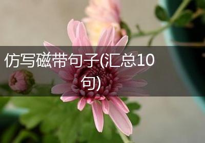 仿写磁带句子(汇总10句)