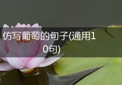 仿写葡萄的句子(通用10句)