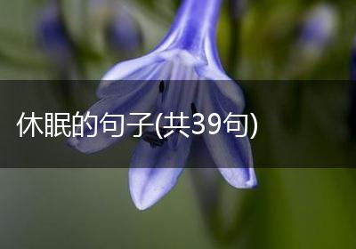 休眠的句子(共39句)