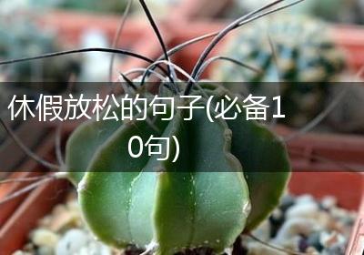 休假放松的句子(必备10句)
