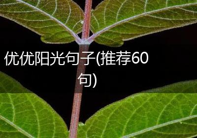优优阳光句子(推荐60句)