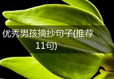 优秀男孩摘抄句子(推荐11句)