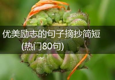 优美励志的句子摘抄简短(热门80句)