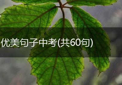 优美句子中考(共60句)