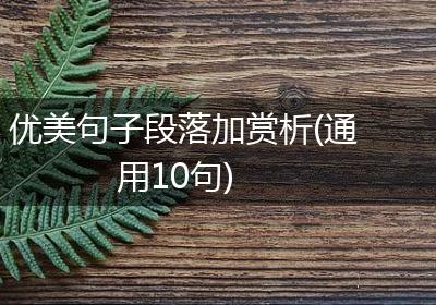 优美句子段落加赏析(通用10句)
