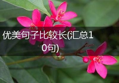 优美句子比较长(汇总10句)