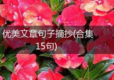 优美文章句子摘抄(合集15句)