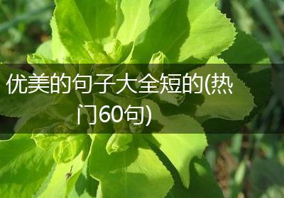 优美的句子大全短的(热门60句)