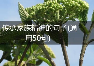 传承家族精神的句子(通用50句)