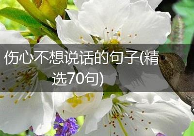 伤心不想说话的句子(精选70句)