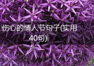 伤心的情人节句子(实用40句)