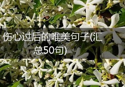 伤心过后的唯美句子(汇总50句)