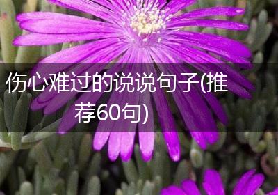 伤心难过的说说句子(推荐60句)