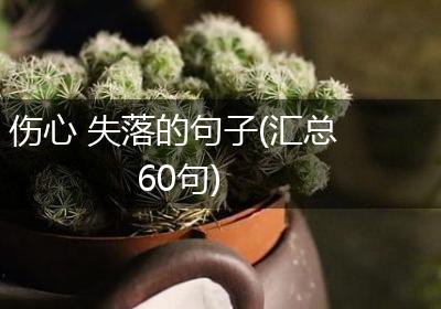 伤心 失落的句子(汇总60句)