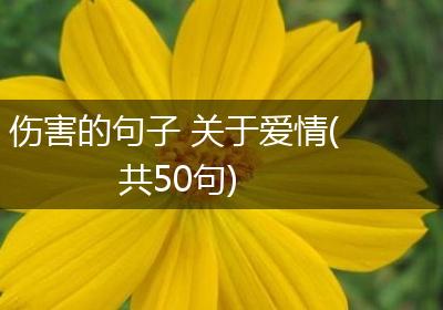 伤害的句子 关于爱情(共50句)