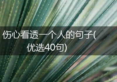 伤心看透一个人的句子(优选40句)