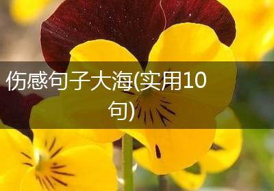 伤感句子大海(实用10句)