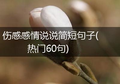 伤感感情说说简短句子(热门60句)