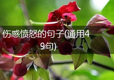 伤感愤怒的句子(通用49句)