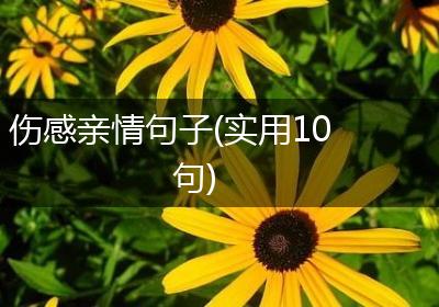 伤感亲情句子(实用10句)