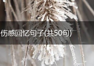 伤感回忆句子(共50句)