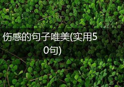 伤感的句子唯美(实用50句)