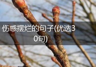 伤感摆烂的句子(优选30句)