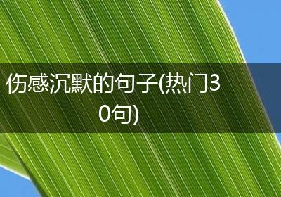 伤感沉默的句子(热门30句)