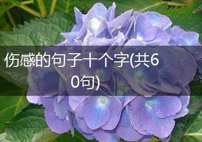 伤感的句子十个字(共60句)