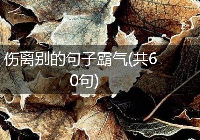 伤离别的句子霸气(共60句)