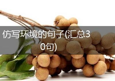 仿写环境的句子(汇总30句)