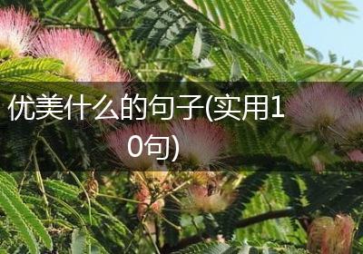 优美什么的句子(实用10句)