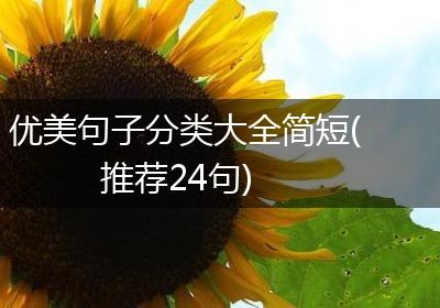 优美句子分类大全简短(推荐24句)
