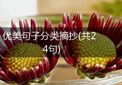优美句子分类摘抄(共24句)