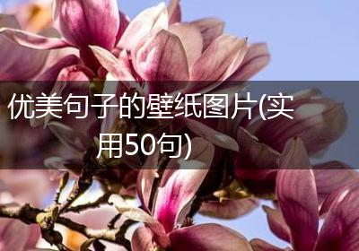 优美句子的壁纸图片(实用50句)